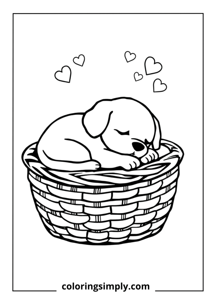 Sweet Dreams" - Sleeping Puppy in Basket