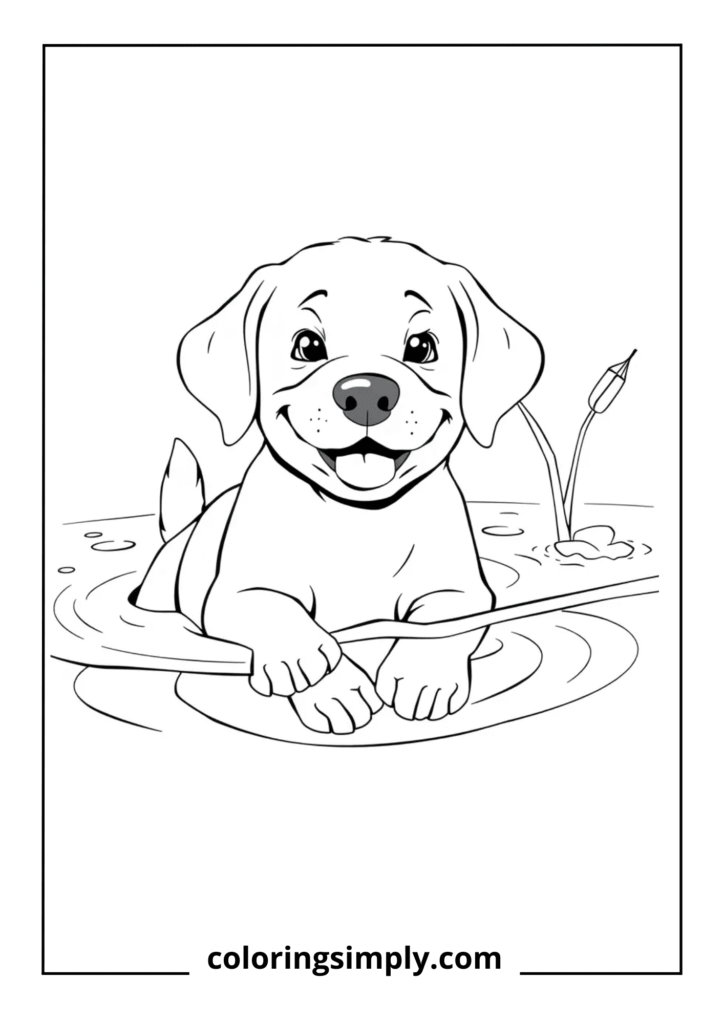 Swimming Buddy" - Labrador Puppy Swimming