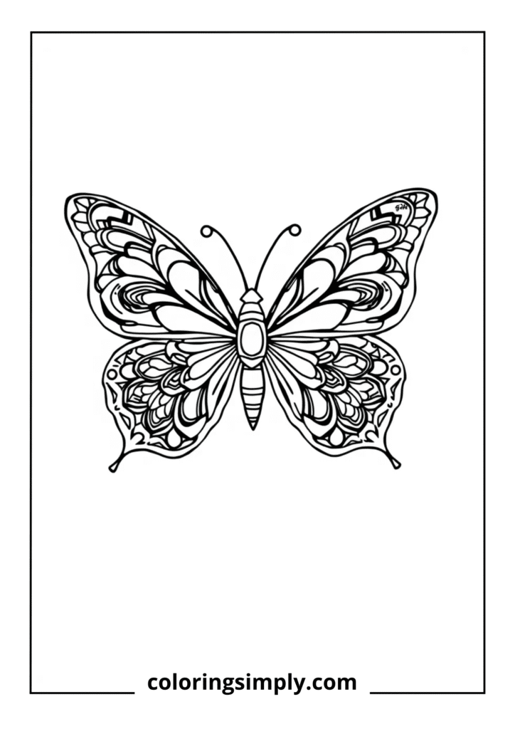 Symmetrical Pattern Butterfly