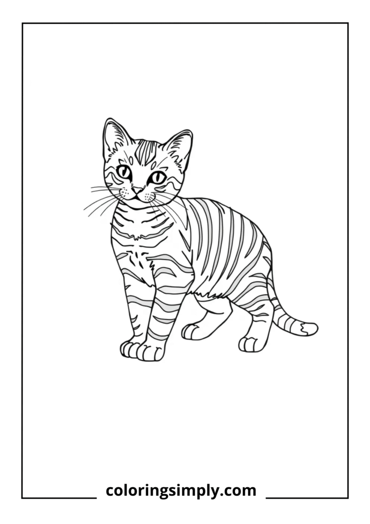Tabby Kitten with Complex Stripes