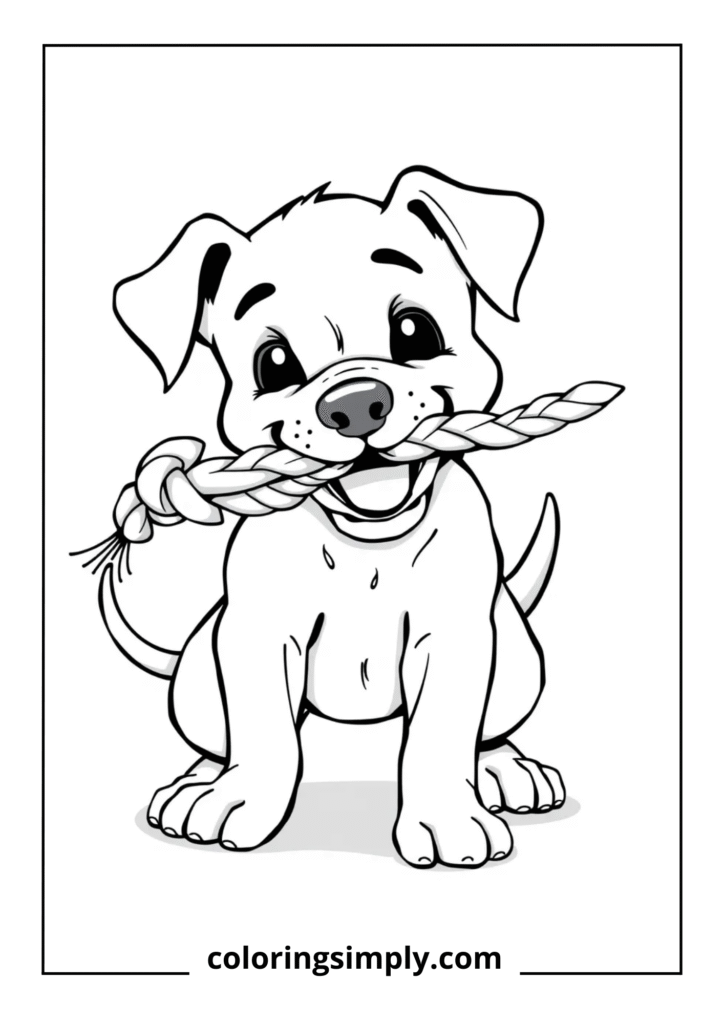 Tug of War Champion" - Puppy Playing with Rope Toy