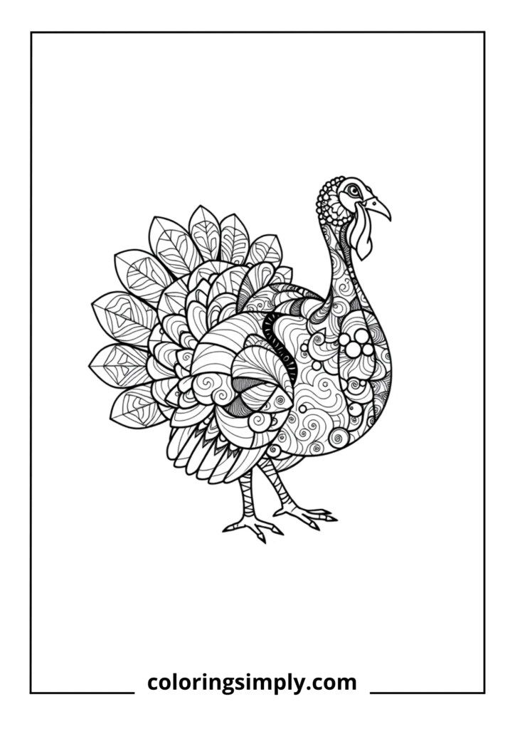 Abstract Pattern Turkey
