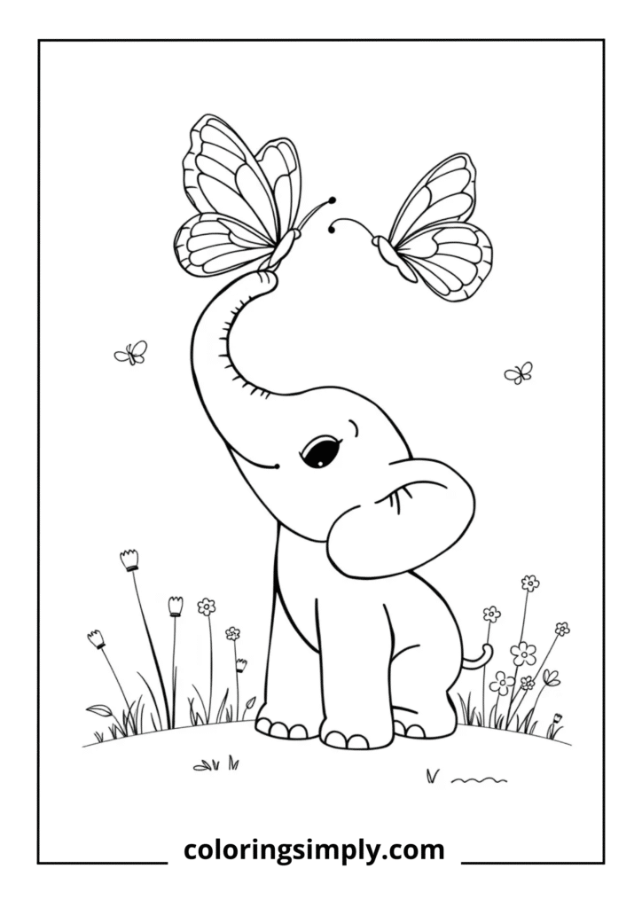 Baby Elephant with Butterfly