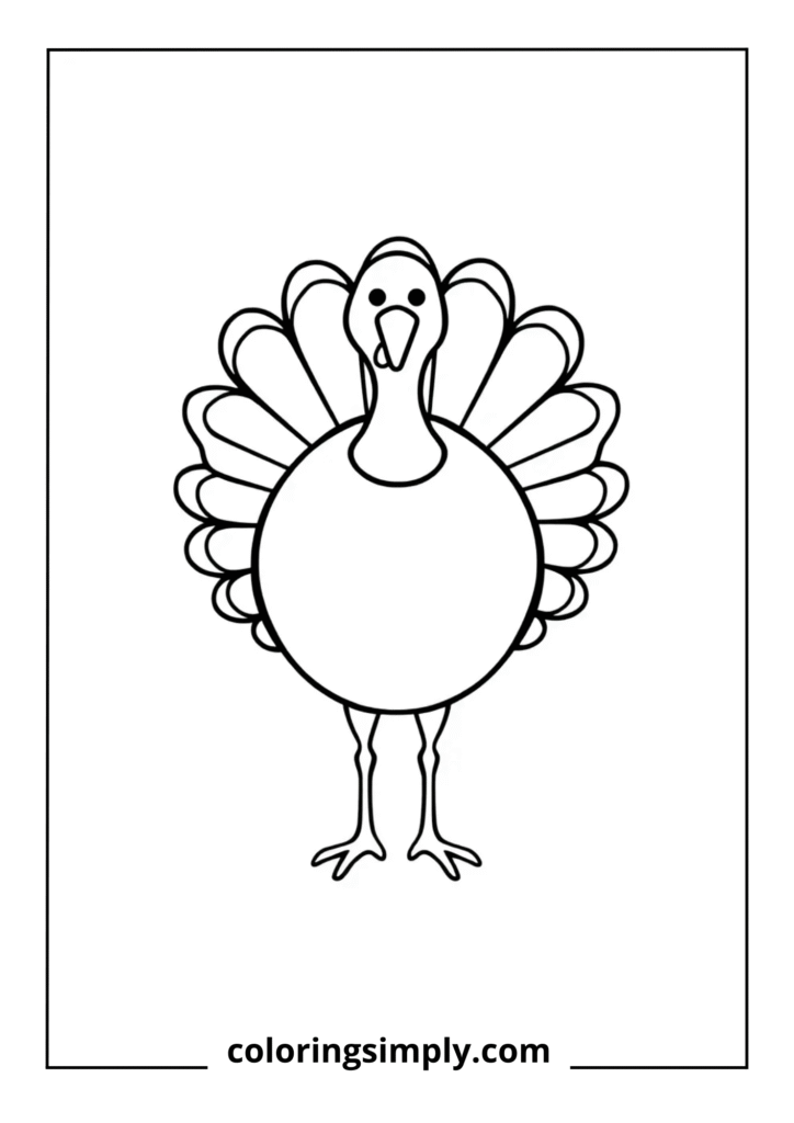 Basic Turkey Outline