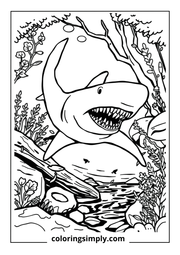 Bull Shark in River Environment