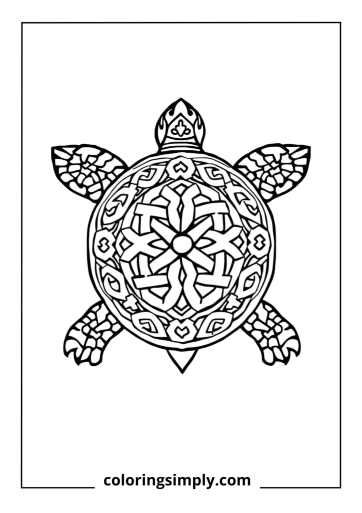 Celtic Knot Turtle