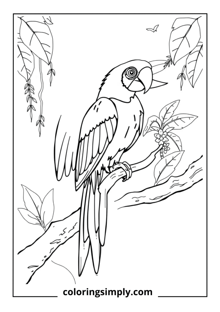 Colorful Macaw on Branch