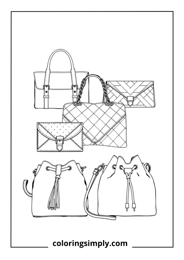 Designer Handbag Collection