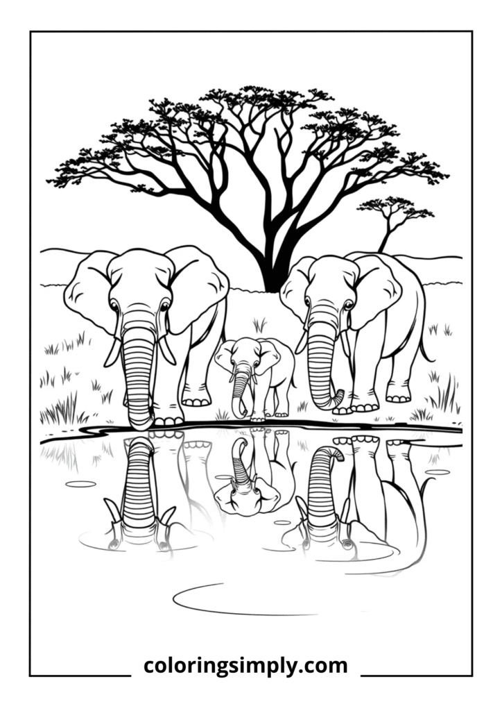 Elephant Herd at Watering Hole