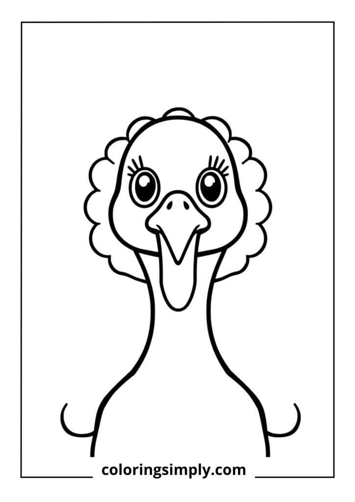 Friendly Turkey Face Close-up
