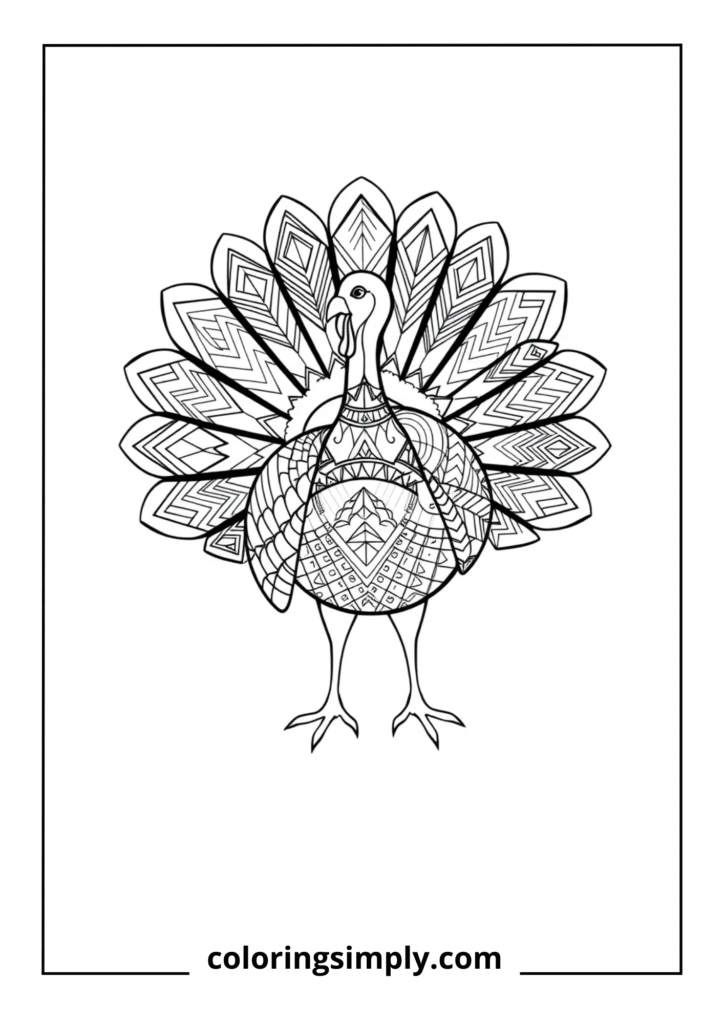 Geometric Feather Turkey