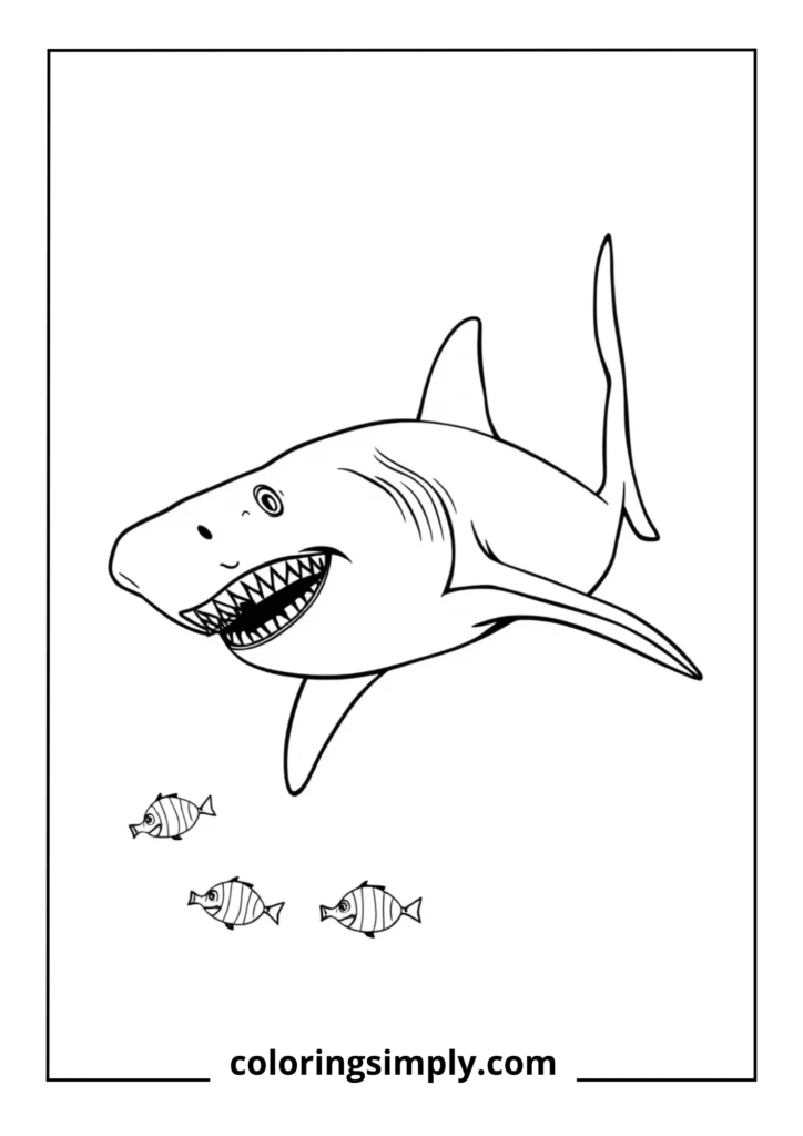 Great White Shark Profile