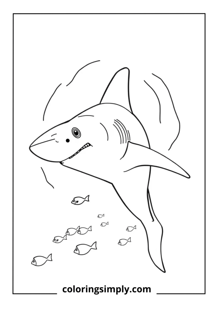 Hammerhead Shark from Above