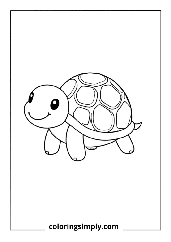 Happy Baby Turtle