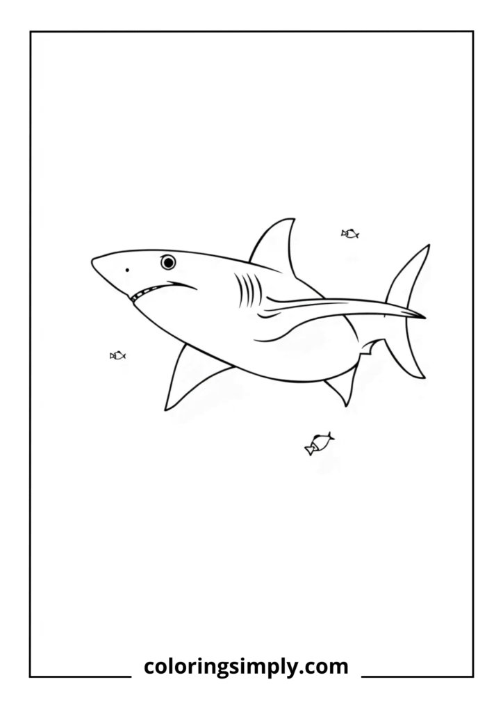 Mako Shark in Motion