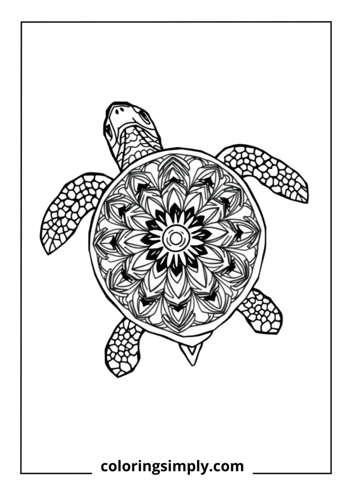 Mandala Shell Turtle