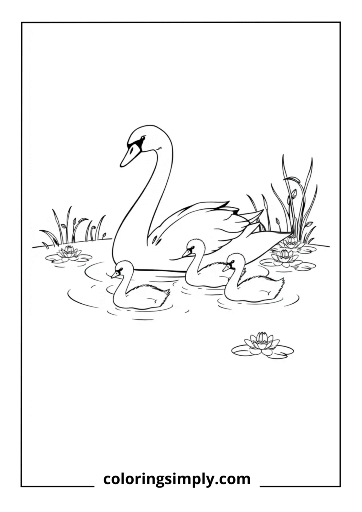 Mother Swan with Cygnets
