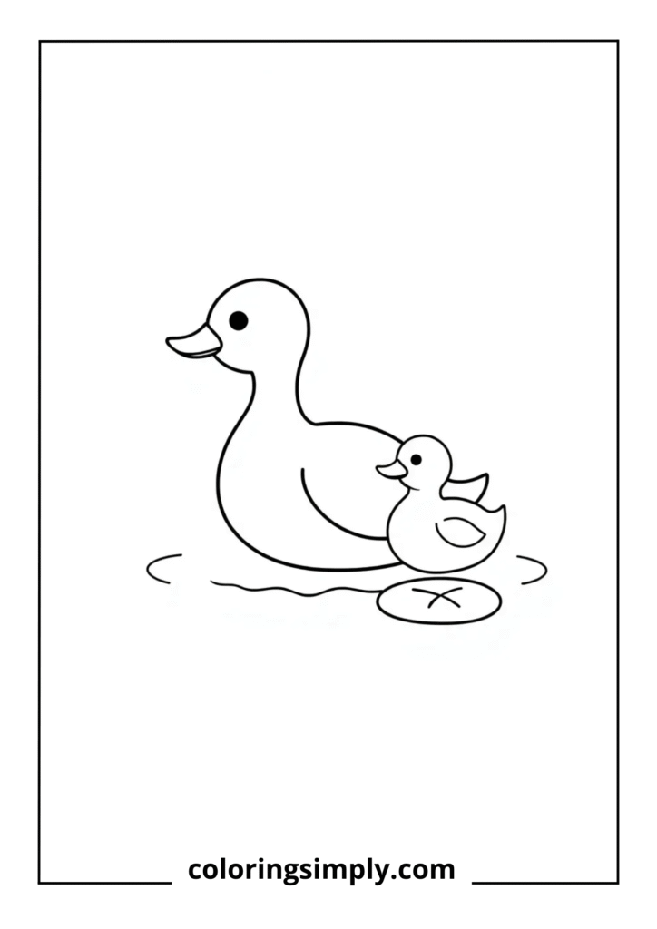 Mother and Baby Duck