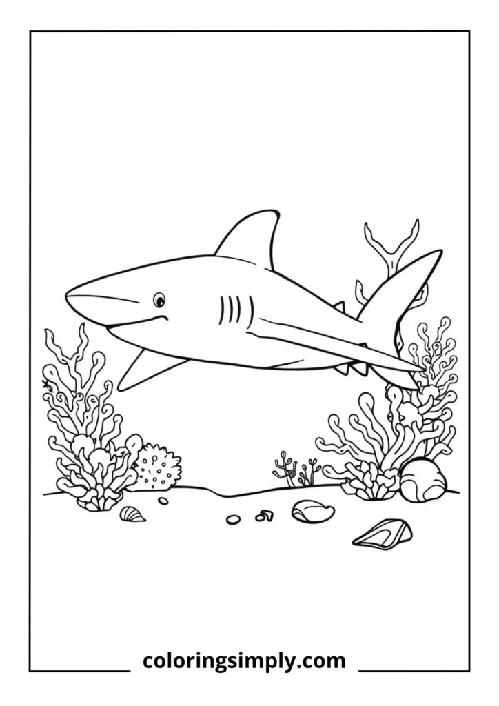 Nurse Shark Resting
