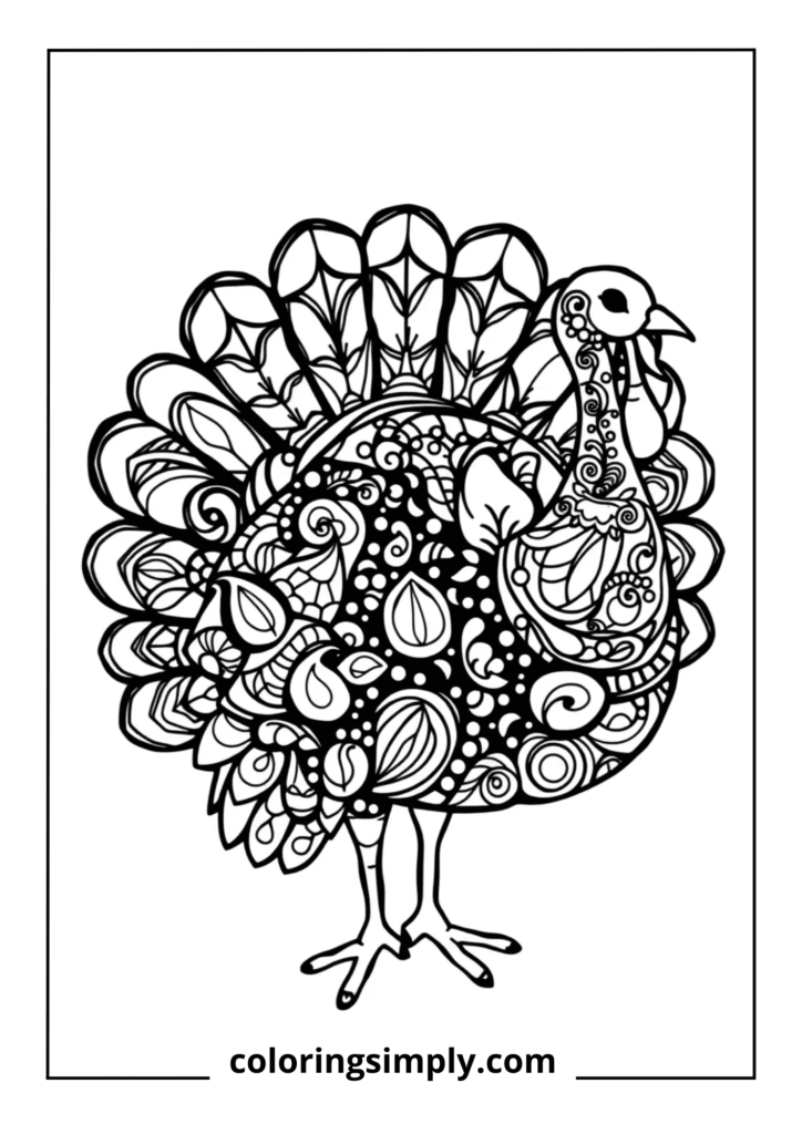Paisley Pattern Turkey