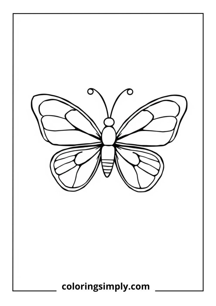 Simple Butterfly