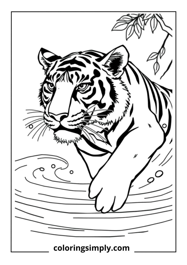 Swimming Tiger