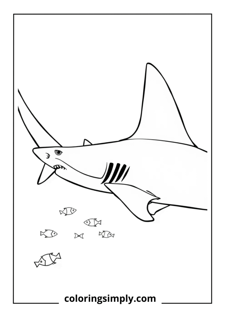 Thresher Shark with Long Tail