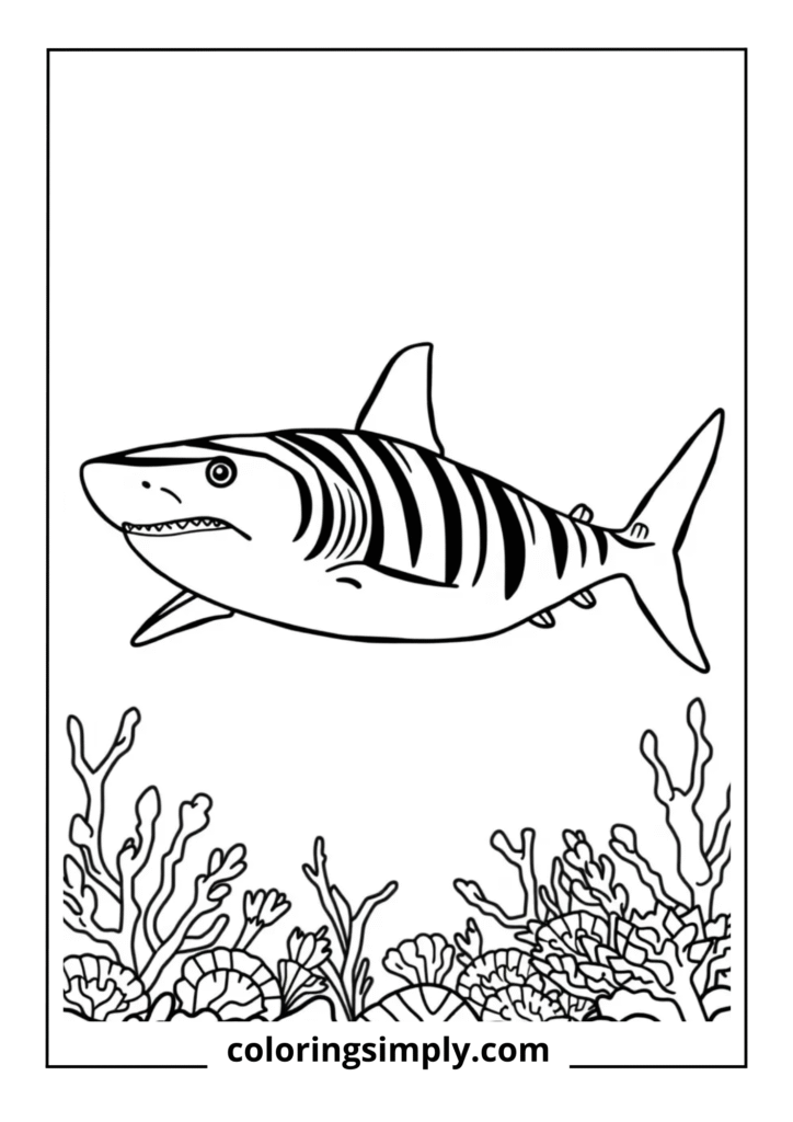 Tiger Shark with Stripes