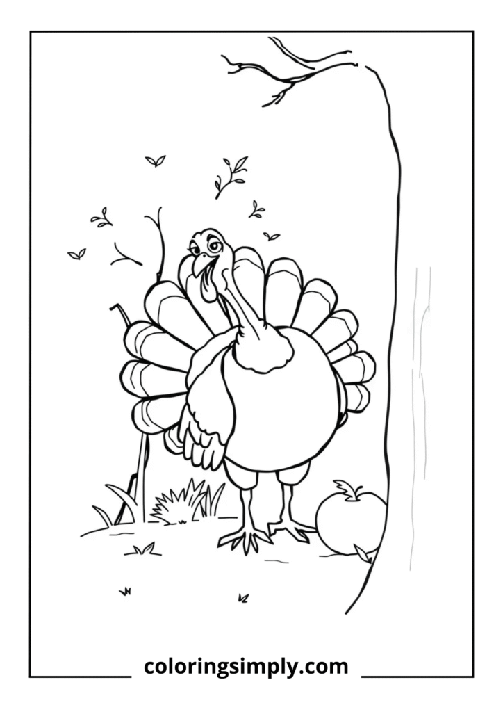 Turkey Playing Hide and Seek