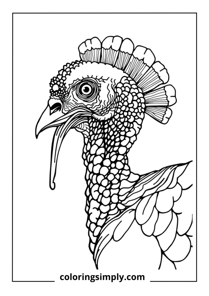 Turkey Profile Portrait