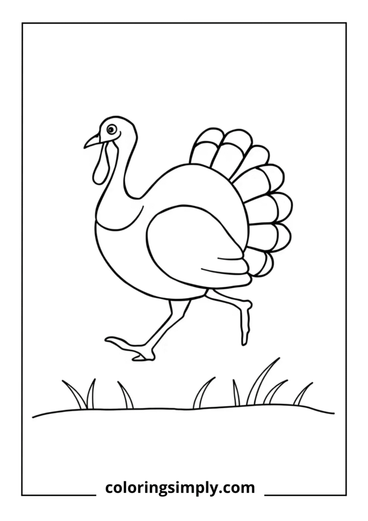 Turkey Walking Scene