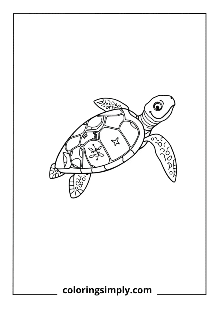 Turtle Conservation Message