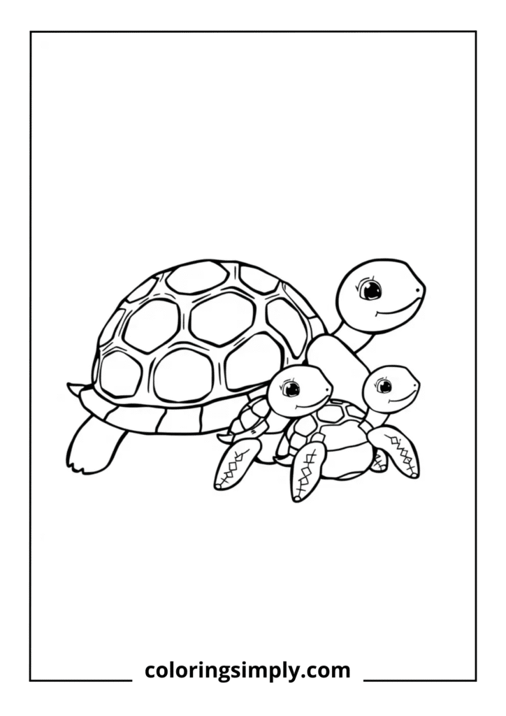 Turtle Family