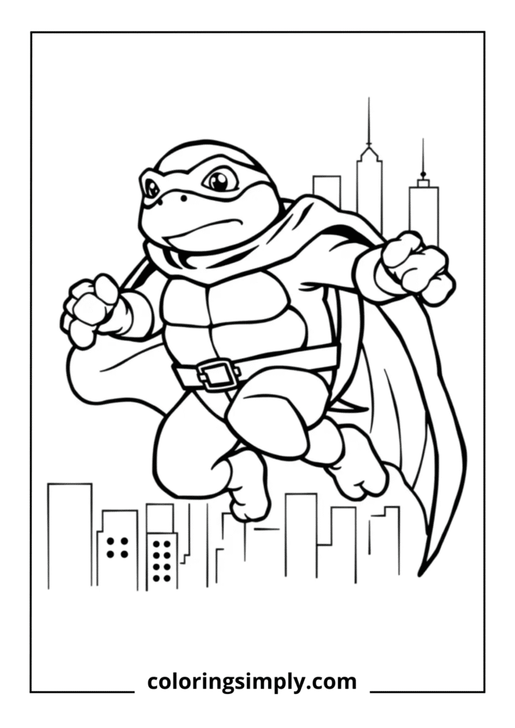 Turtle Superhero