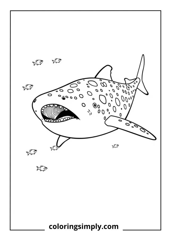 Whale Shark with Spots