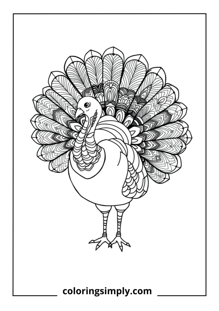 Zentangle Turkey with Ornate Tail