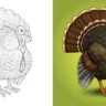 turkey coloring pages
